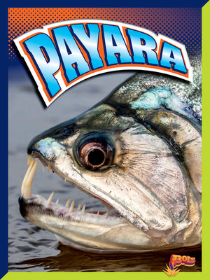 cover image of Payara